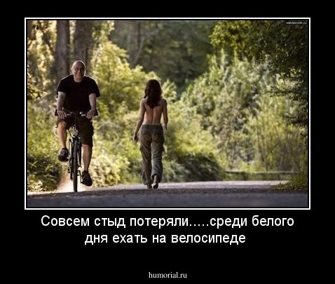 Совсем стыд потеряли.....среди белого дня ехать на велосипеде 