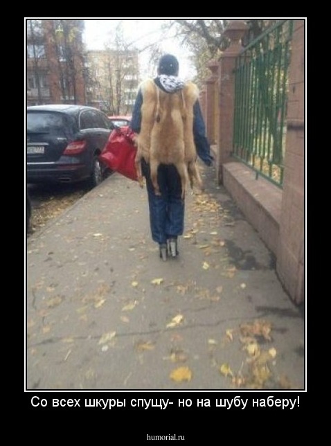 Со всех шкуры спущу- но на шубу наберу!