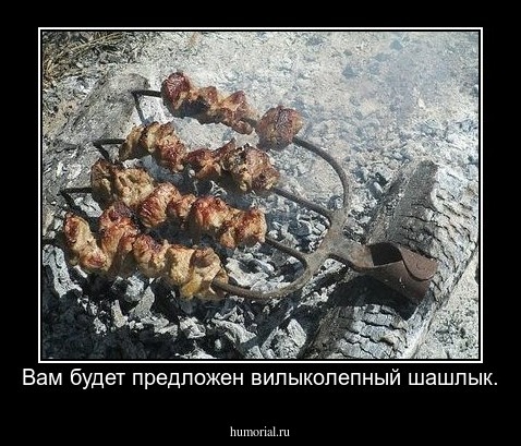 Вам будет предложен вилыколепный шашлык.