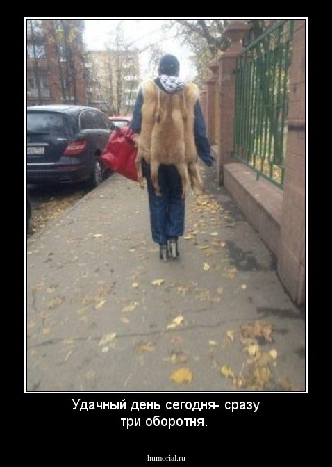 Удачный день сегодня- сразу три оборотня. 