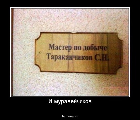 И муравейчиков