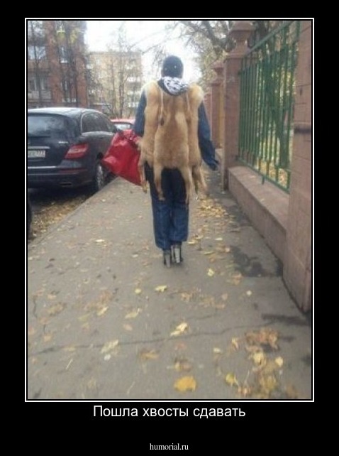 Пошла хвосты сдавать