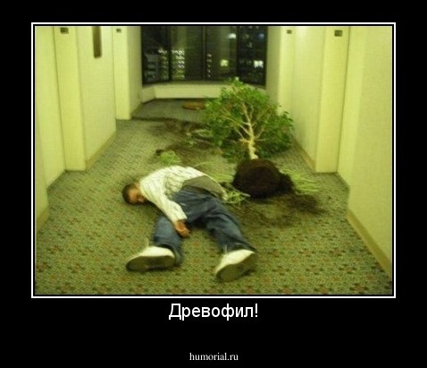 Древофил!