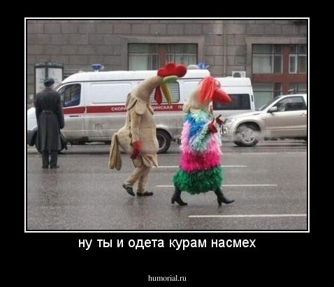 ну ты и одета курам насмех