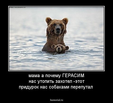 мама а почему ГЕРАСИМ нас утопить захотел -этот придурок нас собаками перепутал 