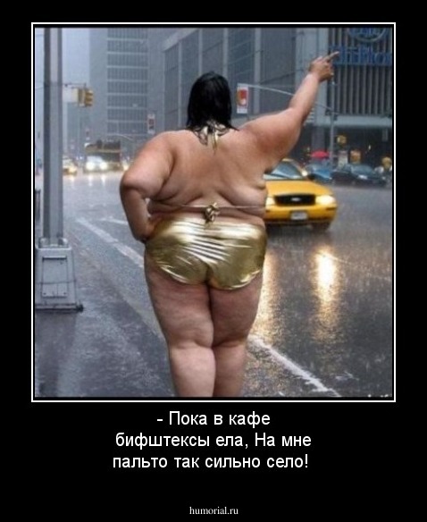- Пока в кафе бифштексы ела, На мне пальто так сильно село!