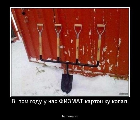 В  том году у нас ФИЗМАТ картошку копал.
