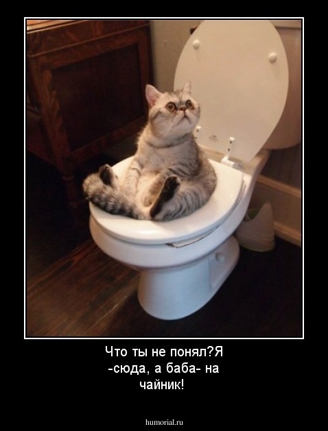 Что ты не понял?Я -сюда, а баба- на чайник!