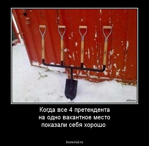 Когда все  4 претендента на одно вакантное место  показали себя хорошо 
