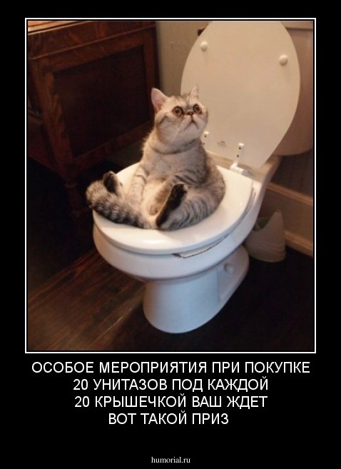ОСОБОЕ МЕРОПРИЯТИЯ ПРИ ПОКУПКЕ  20 УНИТАЗОВ ПОД КАЖДОЙ 20 КРЫШЕЧКОЙ ВАШ ЖДЕТ ВОТ ТАКОЙ ПРИЗ