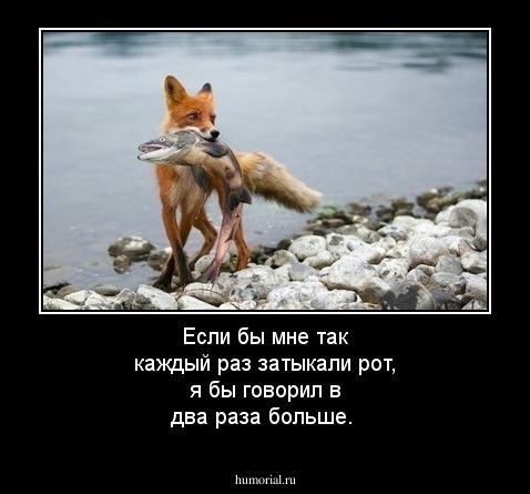 Если бы мне так каждый раз затыкали рот, я бы говорил в два раза больше. 
