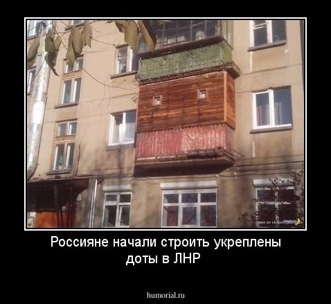 Россияне начали строить укреплены доты в ЛНР