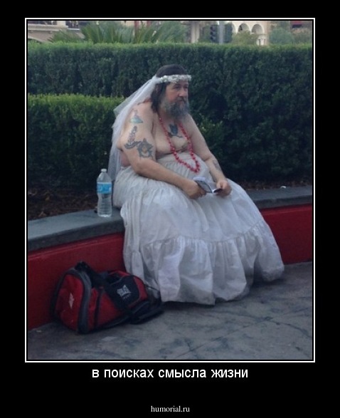 в поисках смысла жизни