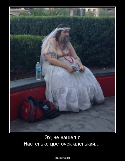 Эх, не нашёл я Настеньке цветочек аленький...