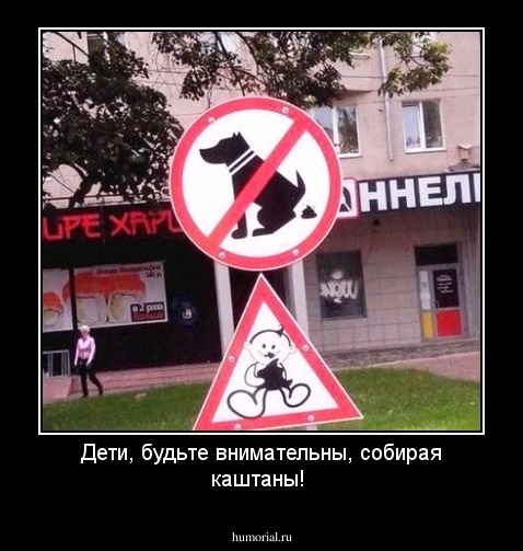 Дети, будьте внимательны, собирая каштаны!