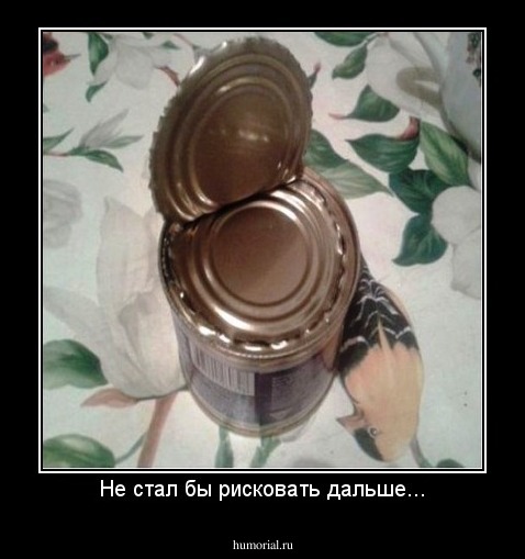 Не стал бы рисковать дальше...