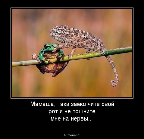Мамаша, таки замолчите свой рот и не тошните мне на нервы..