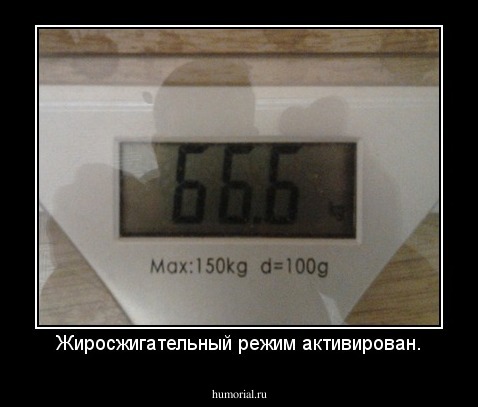 Жиросжигательный режим активирован.