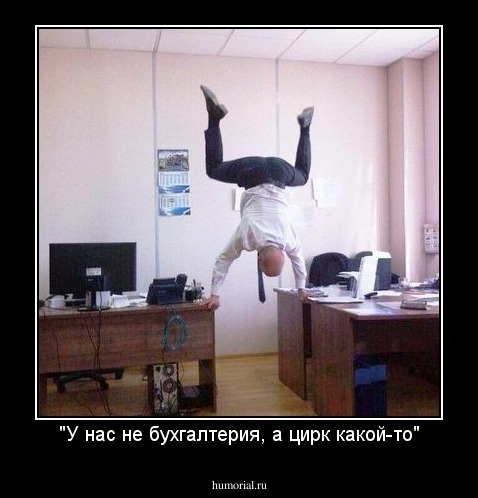 "У нас не бухгалтерия, а цирк какой-то"