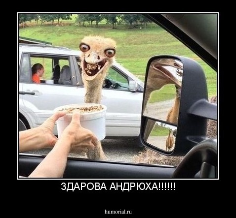 ЗДАРОВА АНДРЮХА!!!!!!