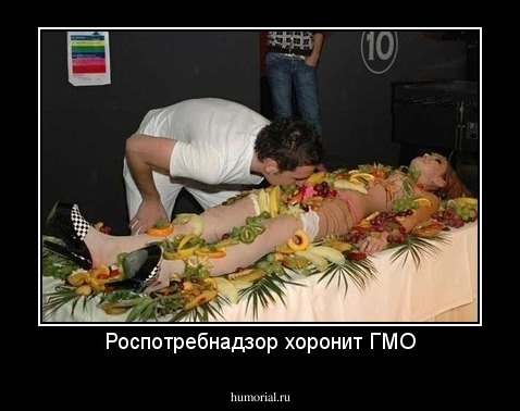Роспотребнадзор хоронит ГМО