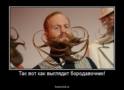 Так вот как выглядит бородавочник!