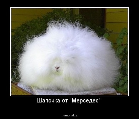 Шапочка от "Мерседес" 