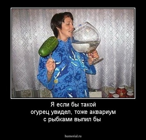 Я если бы такой огурец увидел, тоже аквариум с рыбками выпил бы