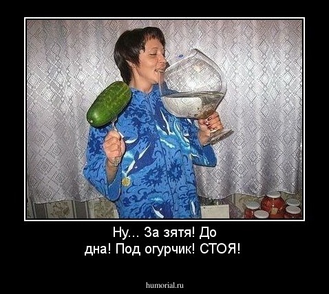 Ну... За зятя! До дна! Под огурчик! СТОЯ!