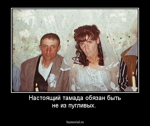 Настоящий тамада  обязан быть не из пугливых.