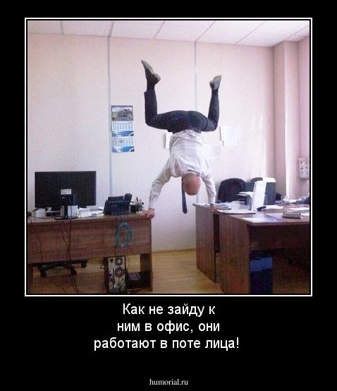 Как не зайду к ним в офис, они работают в поте лица!