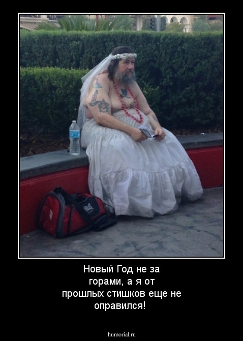 Новый Год не за горами, а я от прошлых стишков еще не оправился!