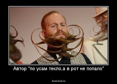 Автор "по усам текло,а в рот не попало"