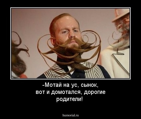 -Мотай на ус, сынок, вот и домотался, дорогие родители!
