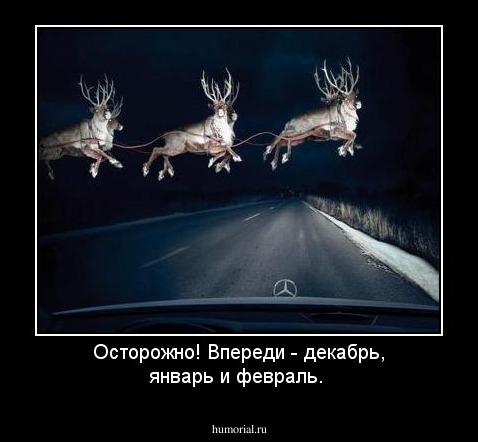 Осторожно! Впереди - декабрь, январь и февраль.
