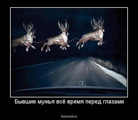 Бывшие мужья всё время перед глазами