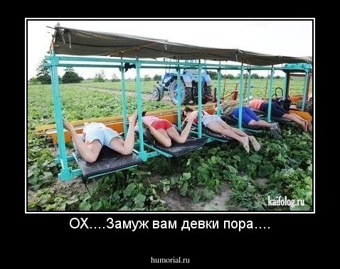 ОХ....Замуж вам девки пора....
