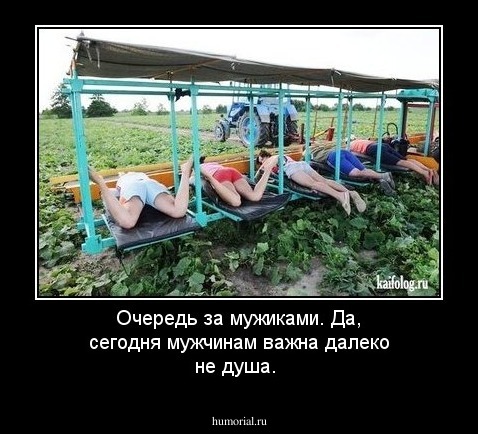 Очередь за мужиками. Да, сегодня мужчинам важна далеко не душа. 