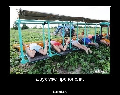 Двух уже пропололи.