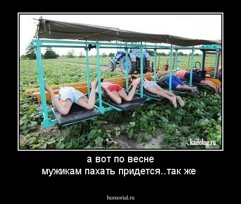 а вот по весне мужикам пахать придется..так же