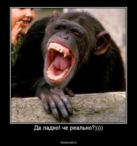 Да ладно! че реально?))))