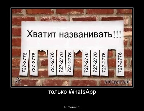только WhatsApp