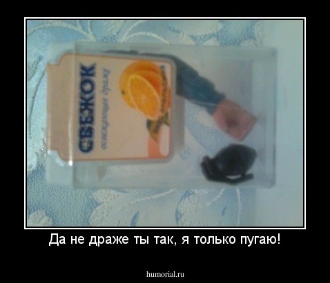 Да не драже ты так, я только пугаю!