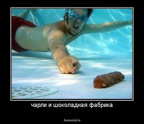 чарли и шоколадная фабрика