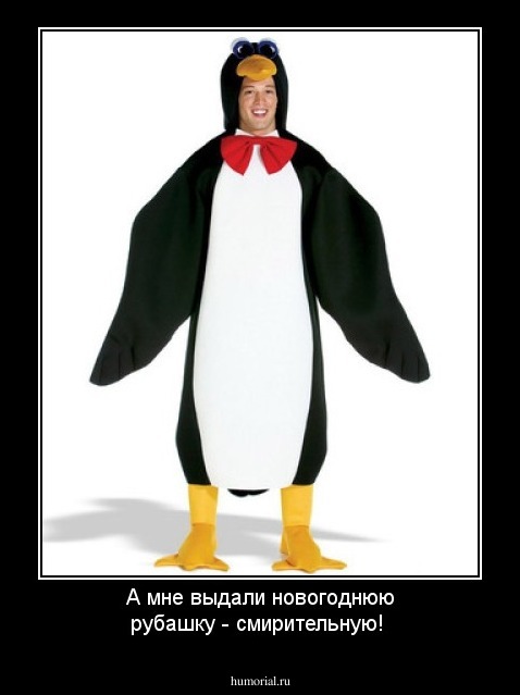 А мне выдали новогоднюю рубашку - смирительную!