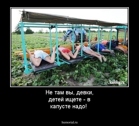 Не там вы, девки, детей ищете - в капусте надо!