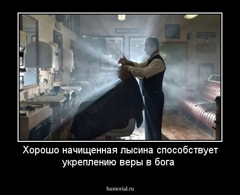 Хорошо начищенная лысина способствует укреплению веры в бога