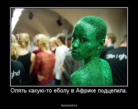 Опять какую-то еболу в Африке подцепила.