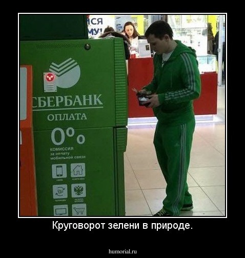 Круговорот зелени в природе.