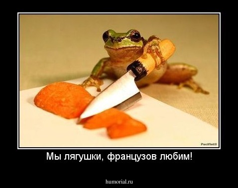Мы лягушки, французов любим!